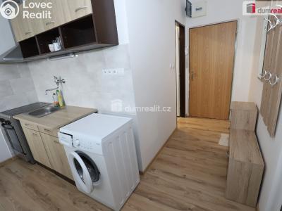 Sale apartment 1+1 Horní Slavkov, U Lesoparku č. 8