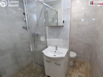 Sale apartment 1+1 Horní Slavkov, U Lesoparku č. 9