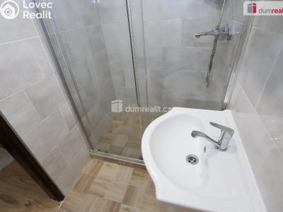 Sale apartment 1+1 Horní Slavkov, U Lesoparku č. 10