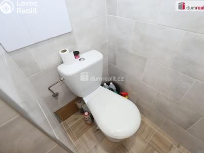 Sale apartment 1+1 Horní Slavkov, U Lesoparku č. 11