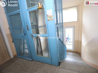 Sale apartment 1+1 Horní Slavkov, U Lesoparku č. 12