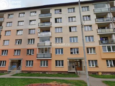 Sale apartment 1+1 Horní Slavkov, U Lesoparku č. 14