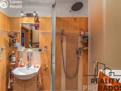 Sale apartment 3+KK Praha, Štichova č. 18