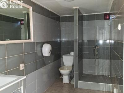 Sale family house Vysoké Veselí, Zahraničních hrdinů č. 11