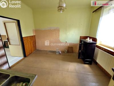 Продаж сімейного будинку Plzeň, Plaská č. 5
