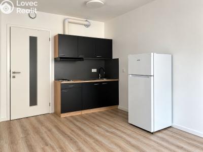 Оренда квартири 1+KK Praha, Prachnerova č. 1
