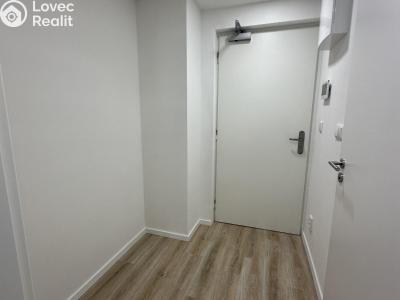 Оренда квартири 1+KK Praha, Prachnerova č. 3