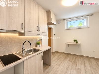 Pronájem bytu 1+1 Mikulov, Zámecká č. 22