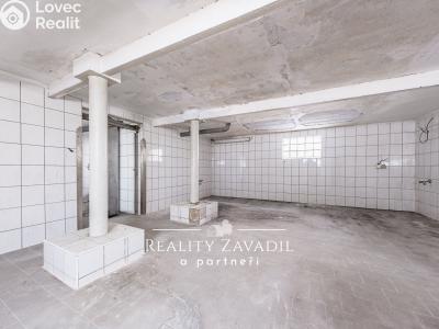 Prodej výrobní haly Koleč č. 36
