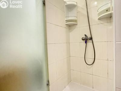 Pronájem bytu 2+1 Teplice, Gagarinova č. 15