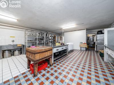 Prodej výrobní haly Bohumín, Šunychelská 43 č. 8