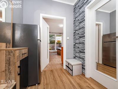 Продажа квартиры 1+KK Mladá Boleslav, U Kasáren 1376 č. 2