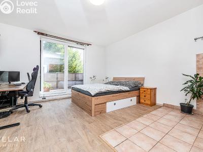 Продажа квартиры 1+KK Mladá Boleslav, U Kasáren 1376 č. 3