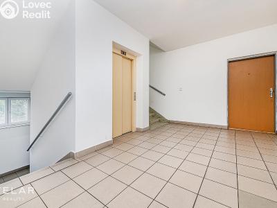 Продажа квартиры 1+KK Mladá Boleslav, U Kasáren 1376 č. 11