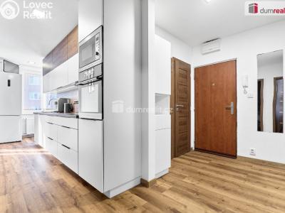 Продажа квартиры 3+1 Karlovy Vary, Ostrovská č. 1