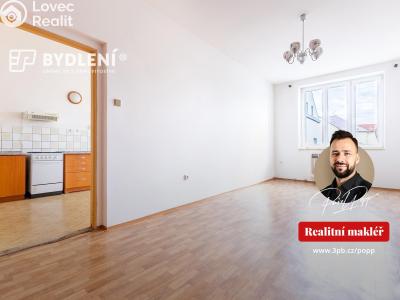 Prodej bytu 2+1 Světec, Kostomlatská 98 č. 1