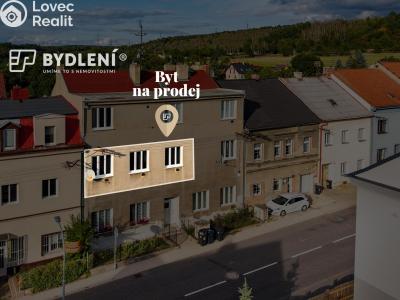 Prodej bytu 2+1 Světec, Kostomlatská 98 č. 4