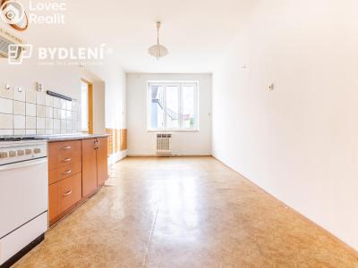 Prodej bytu 2+1 Světec, Kostomlatská 98 č. 11