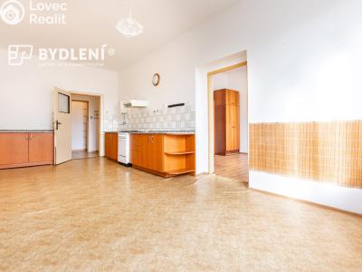 Prodej bytu 2+1 Světec, Kostomlatská 98 č. 12