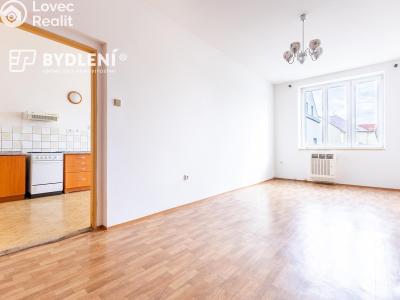 Prodej bytu 2+1 Světec, Kostomlatská 98 č. 14