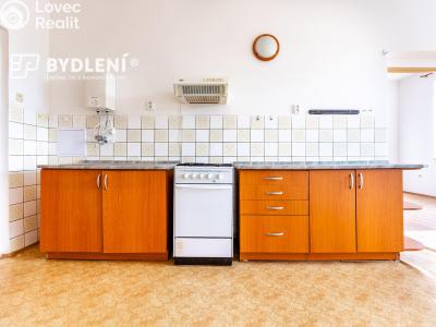 Prodej bytu 2+1 Světec, Kostomlatská 98 č. 15