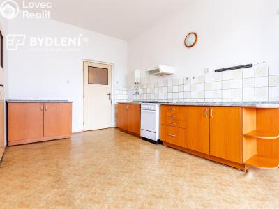 Prodej bytu 2+1 Světec, Kostomlatská 98 č. 16