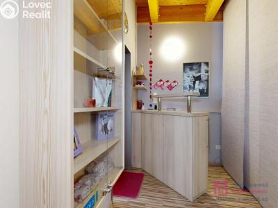 Rent commercial space Hustopeče, Bratislavská č. 3