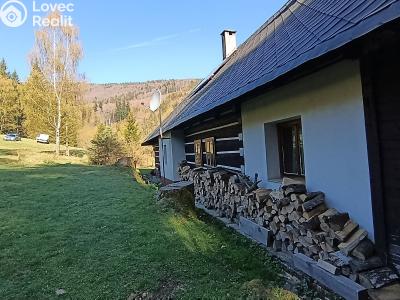 Sale hut Krásná č. 3