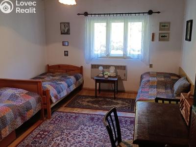 Sale hut Krásná č. 12