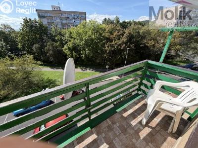 Prodej bytu 2+1 Litvínov, U Zámeckého parku 834 č. 13