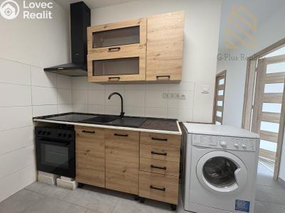 Pronájem bytu 2+1 Litvínov, Kopistská 231 č. 1