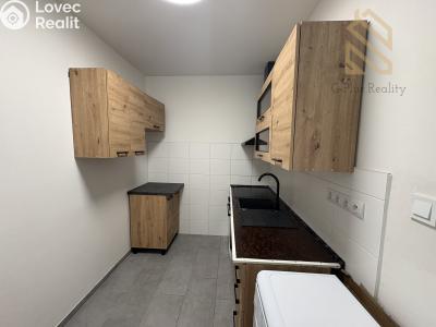 Pronájem bytu 2+1 Litvínov, Kopistská 231 č. 4