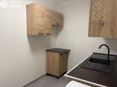 Pronájem bytu 2+1 Litvínov, Kopistská 231 č. 10