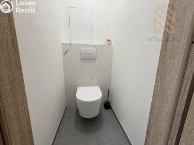 Pronájem bytu 2+1 Litvínov, Kopistská 231 č. 11