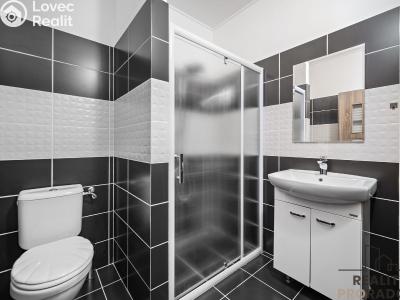 Продаж сімейного будинку Choltice č. 18
