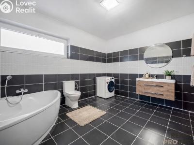 Продаж сімейного будинку Choltice č. 21