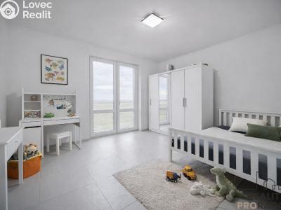 Продаж сімейного будинку Choltice č. 23