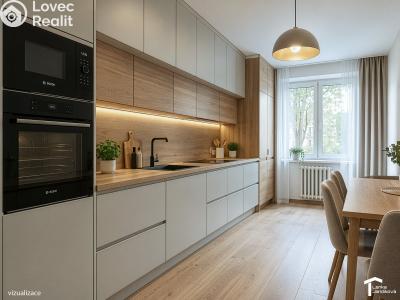 Prodej bytu 2+1 Pardubice, Gorkého 2147 č. 12