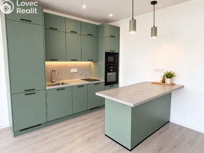 Оренда квартири 1+KK Praha, Elišky Přemyslovny 380 č. 8