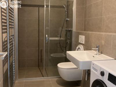 Оренда квартири 1+KK Praha, Elišky Přemyslovny 380 č. 2