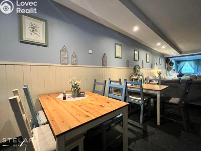 Sale restaurant Frýdek-Místek č. 3