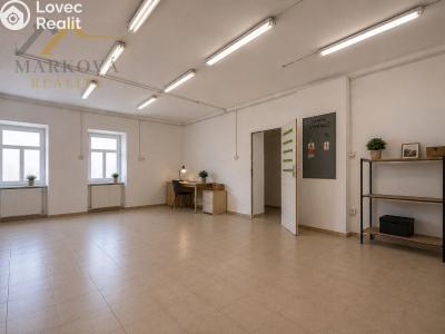 Sale commercial properties Týn nad Vltavou, Vinařického náměstí 213 č. 8