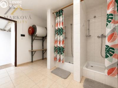 Sale commercial properties Týn nad Vltavou, Vinařického náměstí 213 č. 13