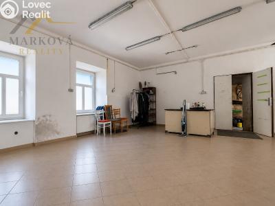 Sale family house Týn nad Vltavou, Vinařického náměstí 213 č. 8