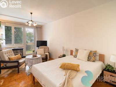Продажа квартиры 1+1 České Budějovice, Kubatova č. 2