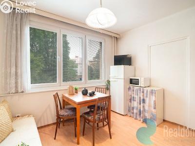 Продажа квартиры 1+1 České Budějovice, Kubatova č. 5