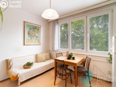 Продажа квартиры 1+1 České Budějovice, Kubatova č. 6