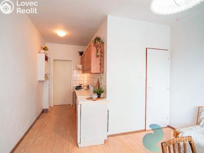 Продажа квартиры 1+1 České Budějovice, Kubatova č. 7