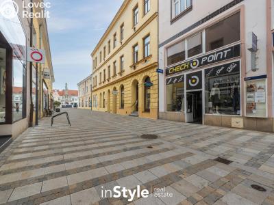 Оренда квартири 3+KK Uherské Hradiště, Prostřední 128 č. 20