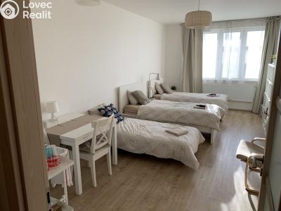 Prodej bytu 1+KK Praha, Freyova č. 14